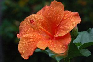 318823_10200289732420258_817477370_n