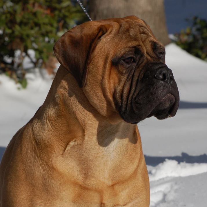 10993132_566258043477194_8313347972581856273_o