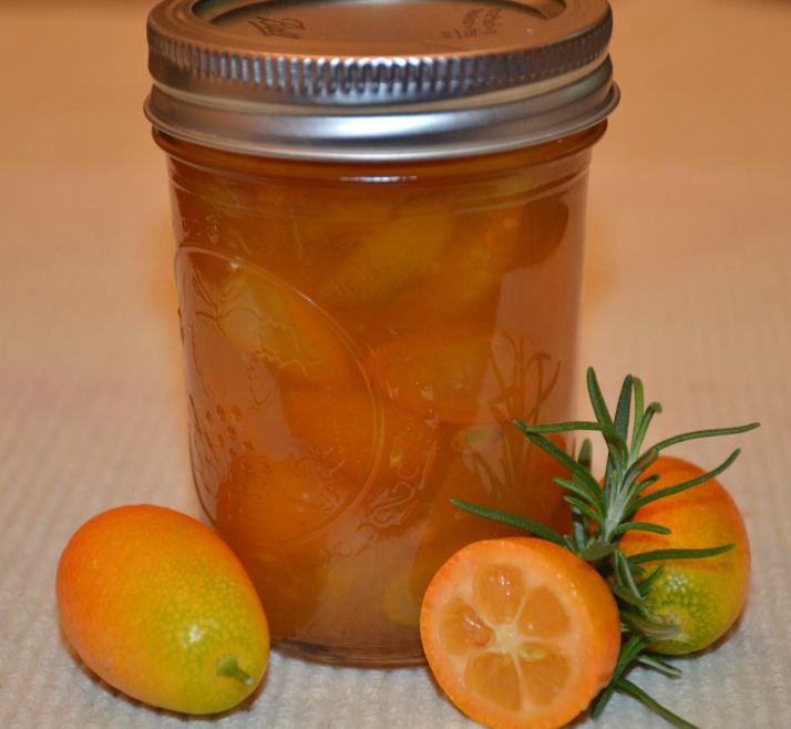 12238009_10206625974102340_8328106815415536525_o