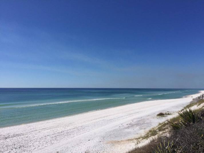 13081804_10207746393312120_580415024_n